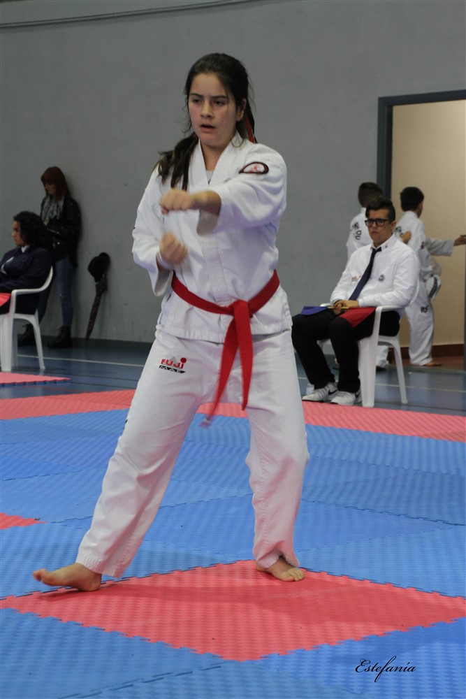 Copa Seul 2018 (411).jpg